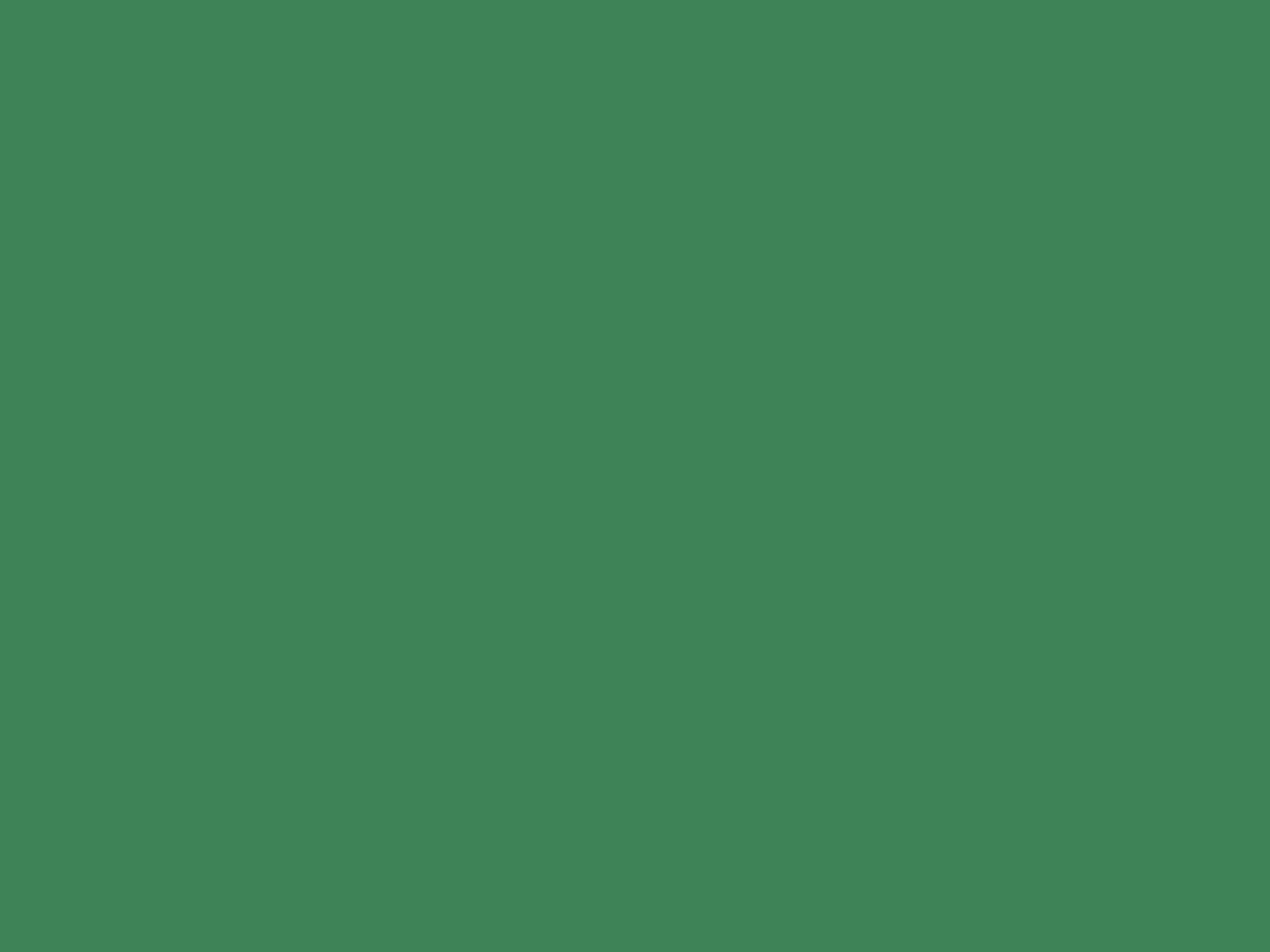 Tischset Mia Verde 30 x 40